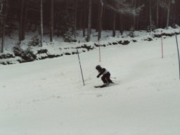 Hesselbach 2006
